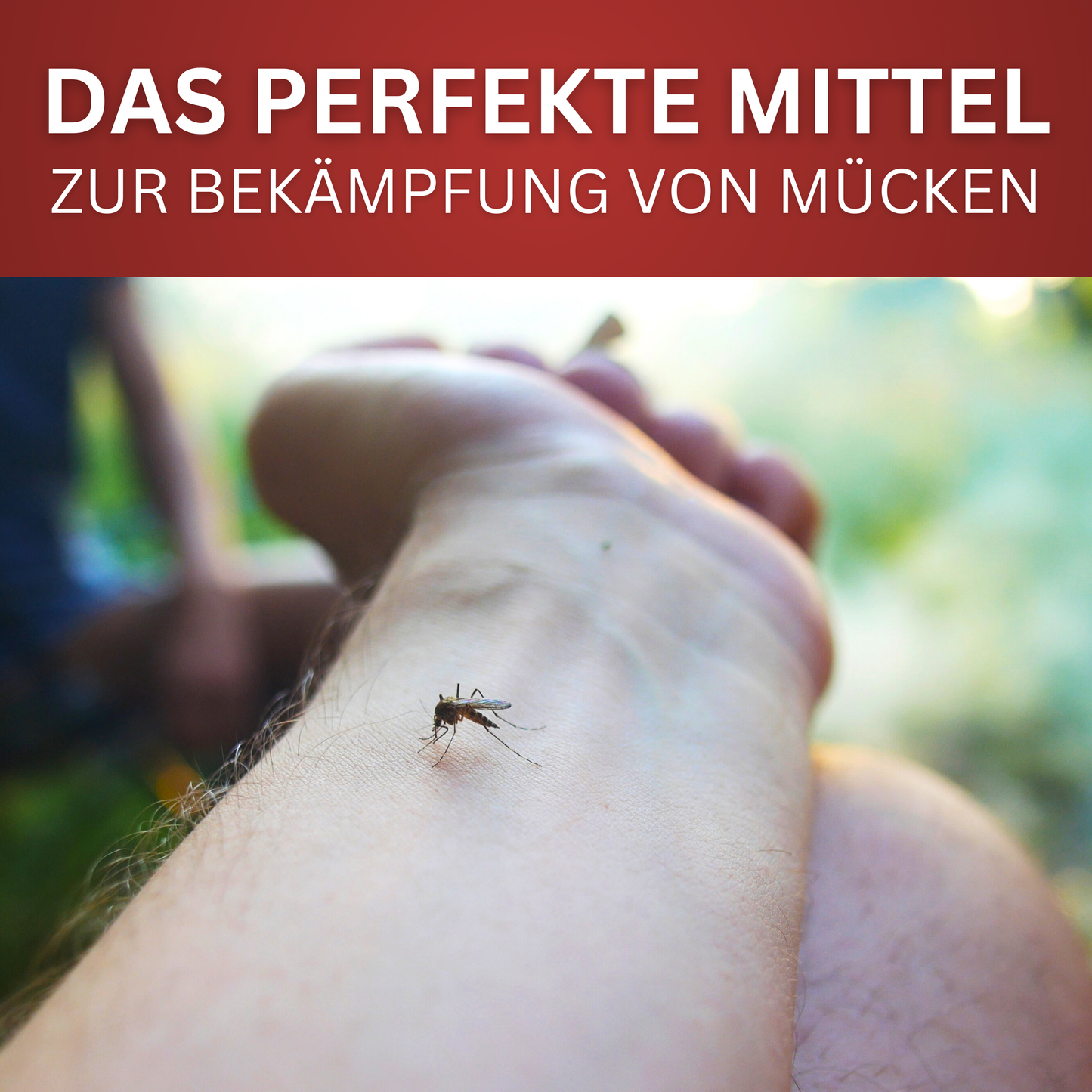 Mücken-Spray