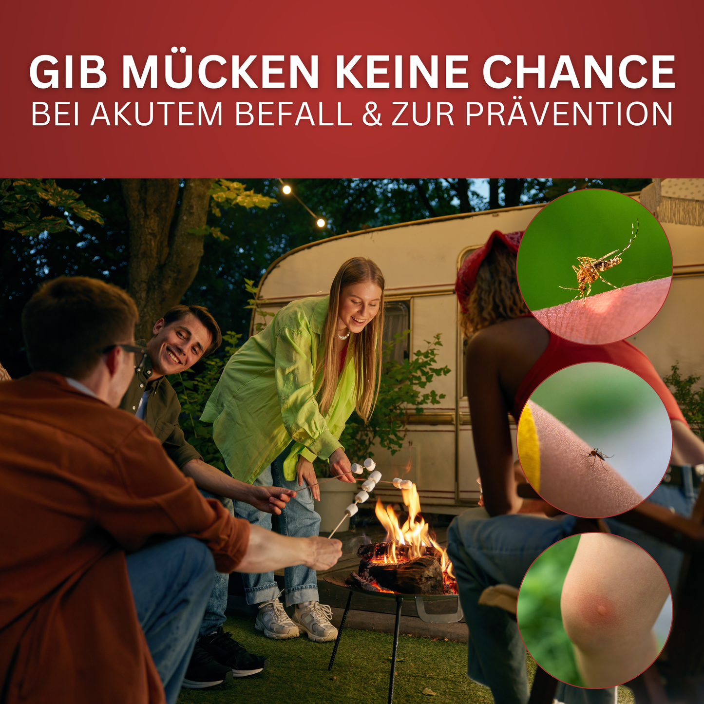 Mücken-Spray
