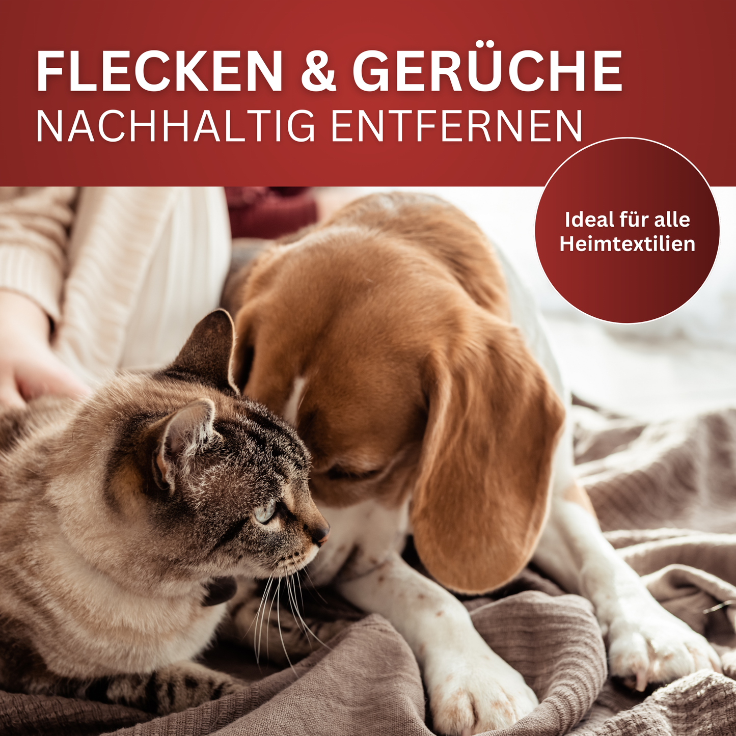 Geruchs- und Fleckenentferner