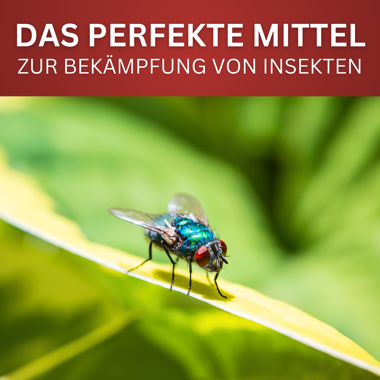 Insekten-Spray