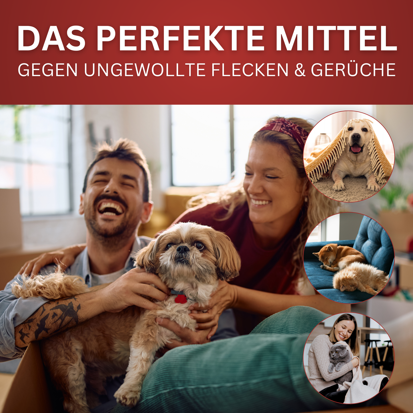 Geruchs- und Fleckenentferner
